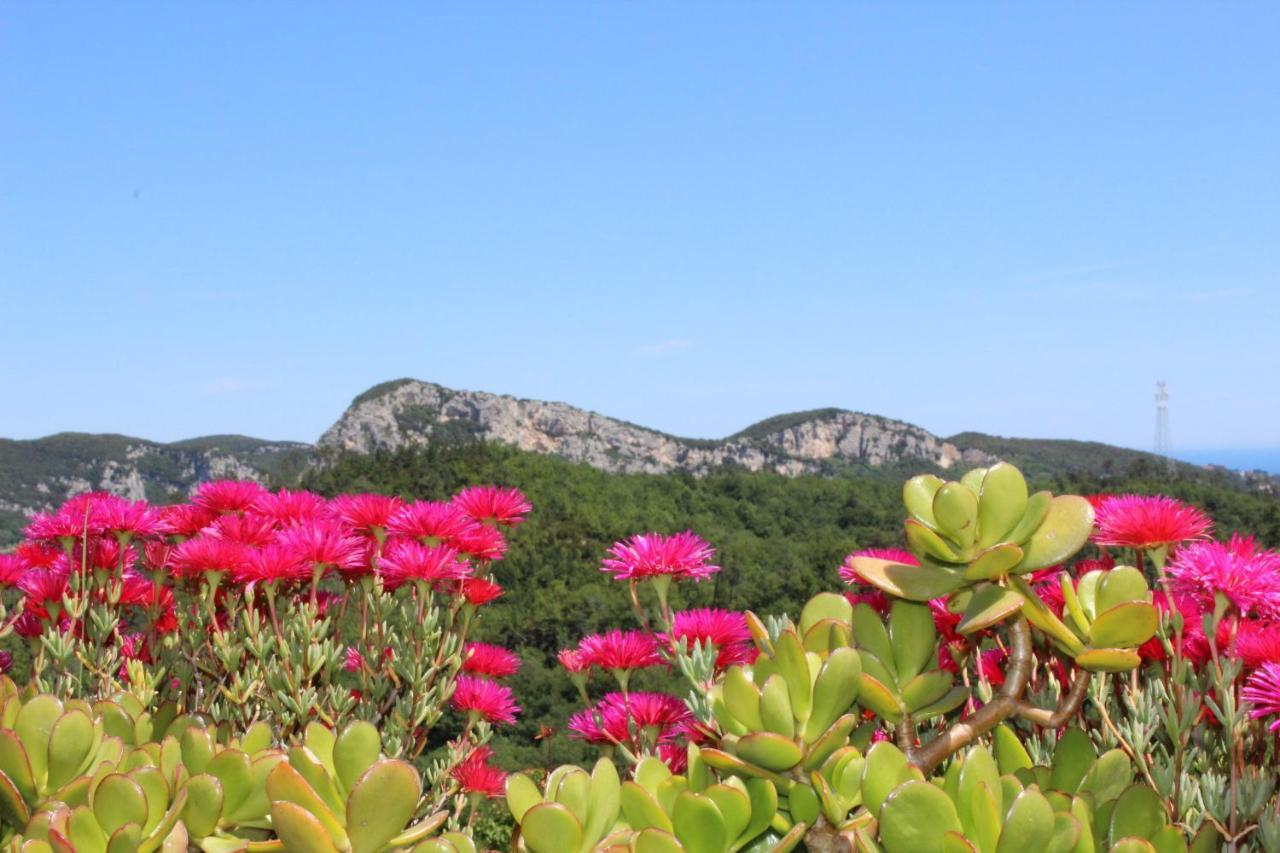Segni E Impronta Bed & Breakfast Finale Ligure Exterior foto
