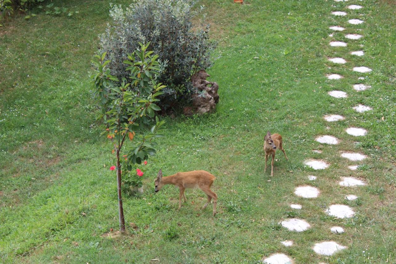 Segni E Impronta Bed & Breakfast Finale Ligure Exterior foto