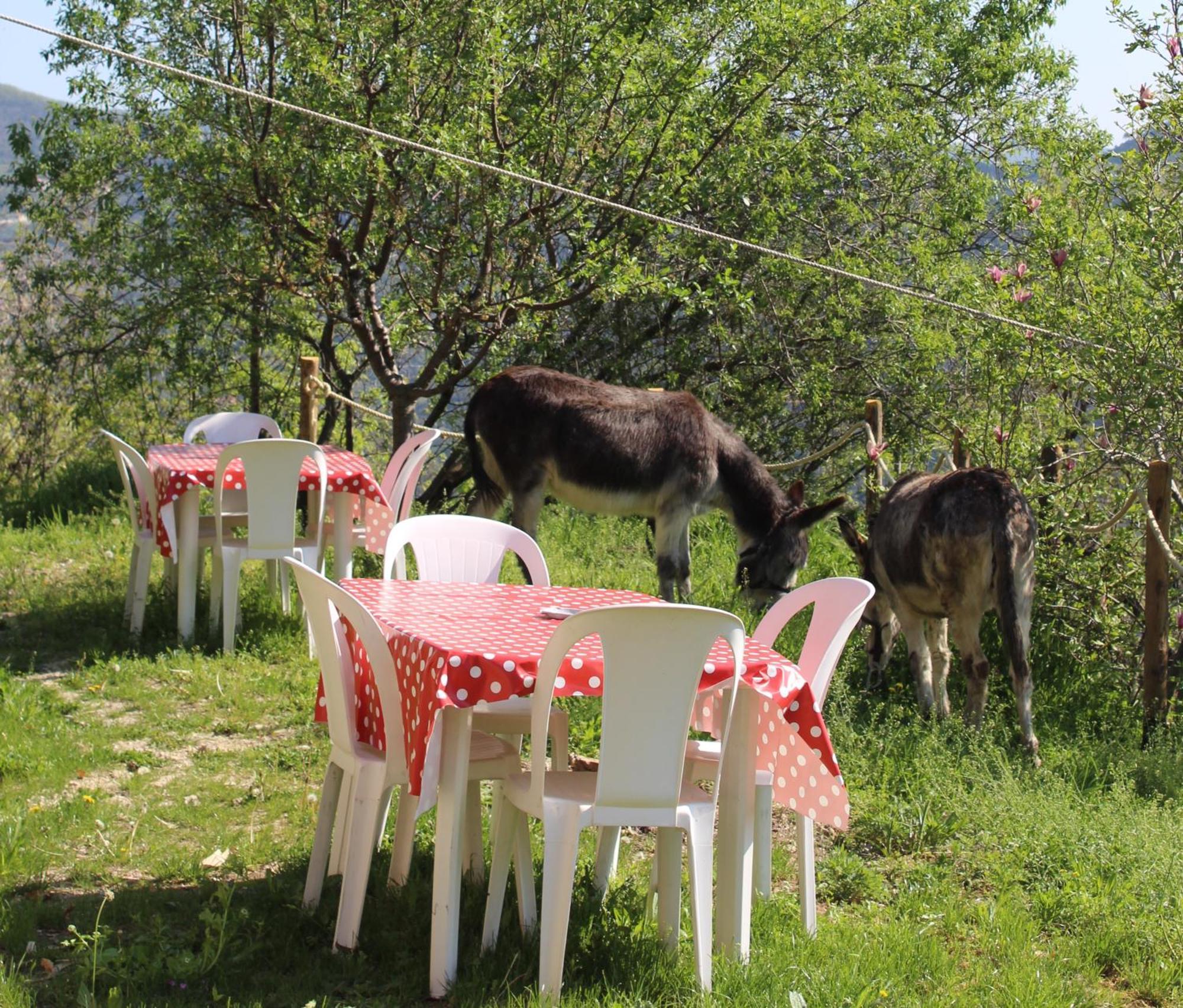 Segni E Impronta Bed & Breakfast Finale Ligure Exterior foto