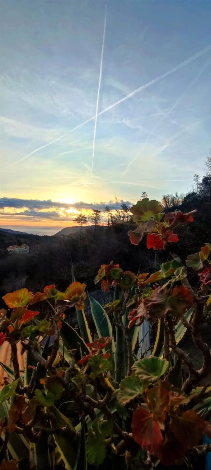 Segni E Impronta Bed & Breakfast Finale Ligure Exterior foto